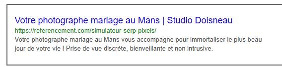 Résultat visuel du test du simulateur de serp en pixels